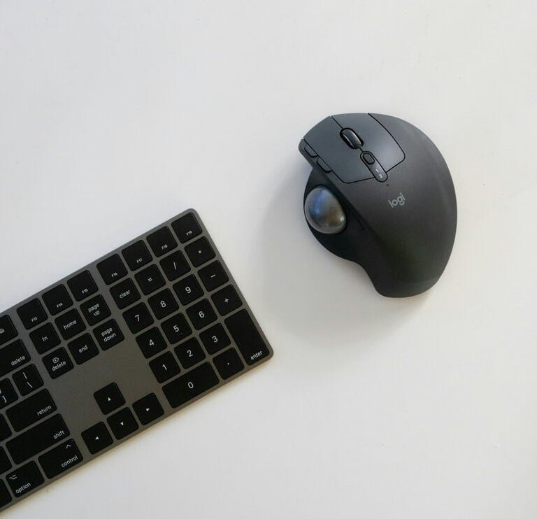 Choosing the best Mouse for home office